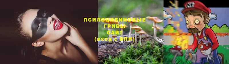 hydra ССЫЛКА  Артёмовский  Галлюциногенные грибы Cubensis  что такое наркотик 